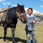 Девочка со своим конем