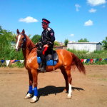 Донской казак на рыжем коне