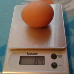 Крупное яйцо шейвер браун на весах