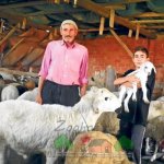 Семейство фермеров в кирпичной овчарне