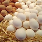 Белые и коричневые яйца на соломе