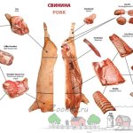 Схема разных частей свиной тушки