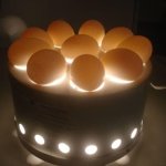 Включенный овоскоп с яйцами